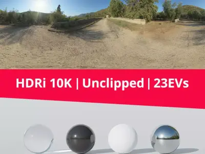 Hdri - Trail Trees And Mountains Texture