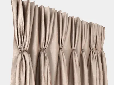 Pinch Pleat Curtain 3D model