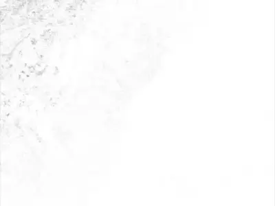 Sweden Occlusion Thickness Cavity Curvature Direct 10k Maps Texture