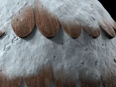 Roof Tile Materials 82- Wooden Roofing By Sbsar Seamless Pbr Texture