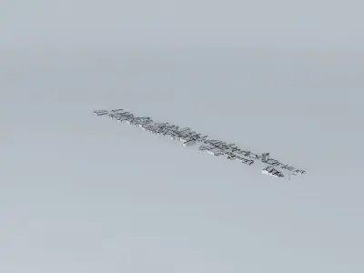 Street Doctor Jorge Xavier da Silva  Free 3D model