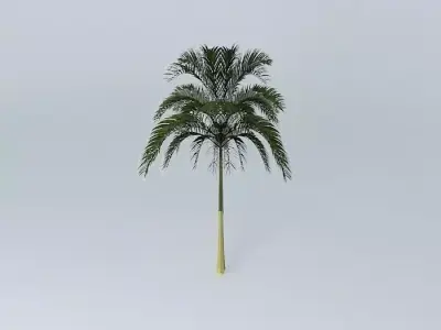 Alexandra Palm Free 3D model