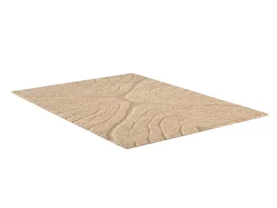 TARRAS WOOL RUG B 3D model