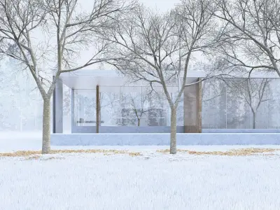 Mies Van der Rohe - Modern House 3D model