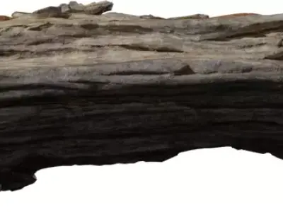 Weathered Driftwood Pack Low-poly 3D model