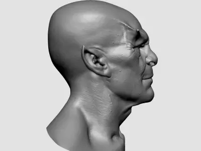 Male Head T 3D model