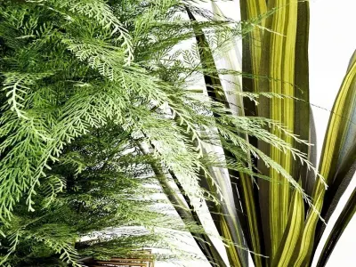 INDOOR PLANT SET 03 3D model