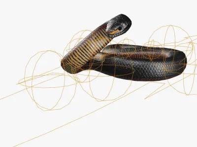  Desert Black King Snake Attacks Animated Rigged For Blender 