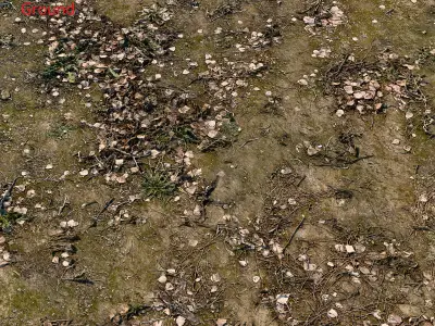 Ultra realistic Soil Scan 3D model