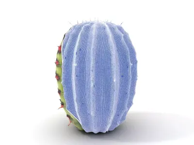 Prickly Cactus Plant model pack Low-poly 3D model