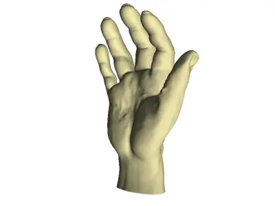 Male Hand 3D print model