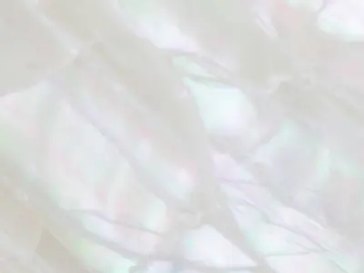 Shell Chandelier 3D model