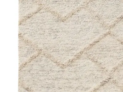 ADHAR JUTE RUG 3D model
