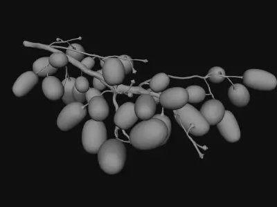 Green Grapes  3D model