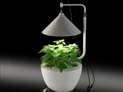 Revone Magic Garden phyto lamp Low-poly 3D model