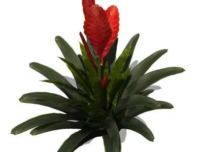 XfrogPlants Flaming Sword 3D model