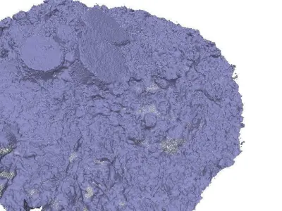 Forest small stump 3D scan Low-poly 3D model