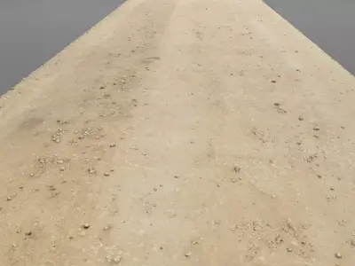 Spring road raw scan 3D model