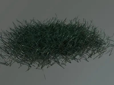 Grass carpet Free 3D model