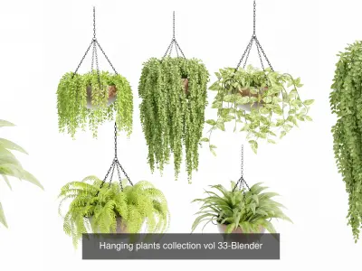 Hanging plants indoor collection-Blender 3D Model Pack