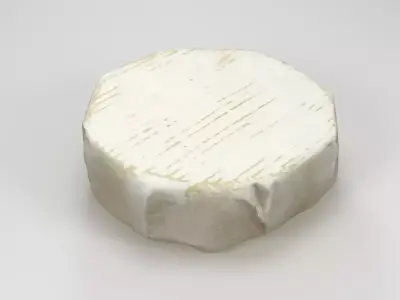 Camembert Cheese 3D model