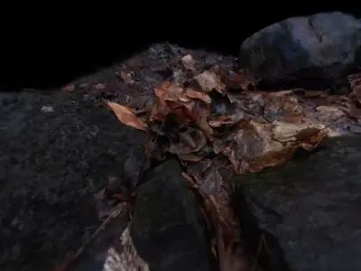 Muddy autumn forest floor  Free 3D model