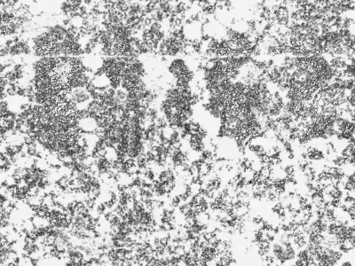 Interior Texture Set 1 Texture