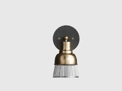 Spun Brass and Holophane Glass Armed Wall Light 3d model 3D model