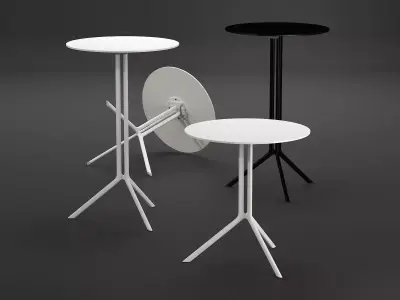 Poule Round 3D model