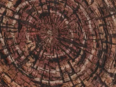 Charred Ancient Tree Log End PBR Seamless Texture