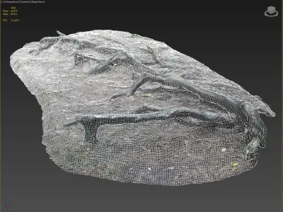 nature forest roots 002 3D model
