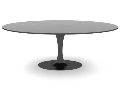 Knoll Saarinen Tulip Oval Coffee Table 3D model
