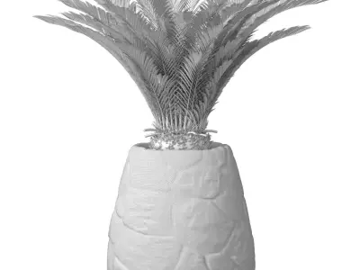 Decorative Tall Palm Cicas in stone floor flower pot urn  3D model
