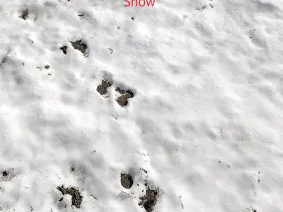 Snow collection v2 3D Model Pack