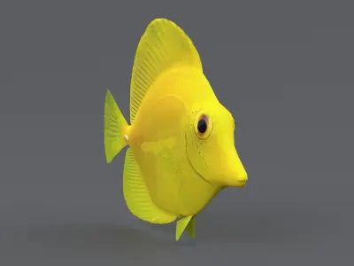  Coral Reef Fish Collection 