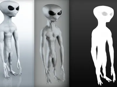 Gray Alien 3D model