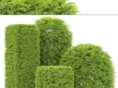 Garden Topiary Bush Collection 3D Pack 01