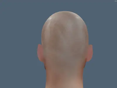 Male head Realistic Perfect Head  Low-poly 3D model