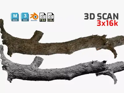 Tree Trunk 9 3D scan 3x16k - 2x8k Textures Blender Maya 3Ds-Max Low-poly 3D model