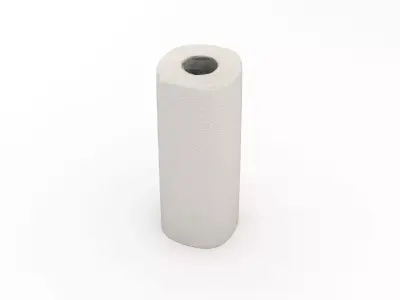 Paper Towel Roll 3D model