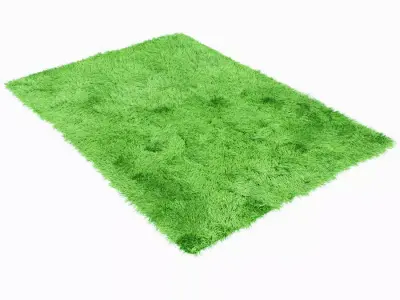 Fuleri green carpet 3D model