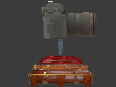Chinese display with camera 3D model