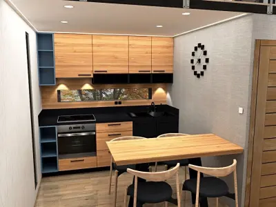 modern-contemporary micro house on 22 m2  Low-poly 3D model