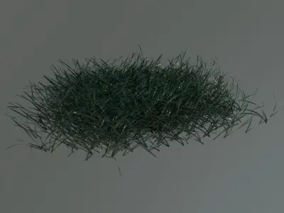 Grass carpet Free 3D model