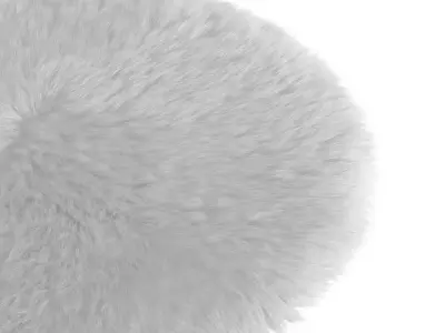 Round White Rug 3D model