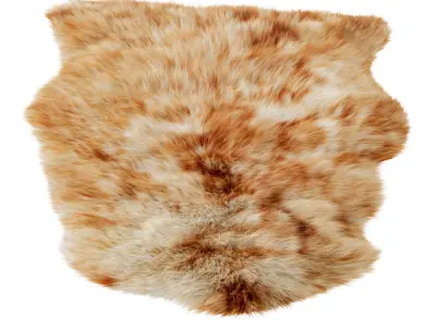 Animal skin 01 3D model