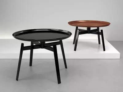 Husk Table 3D model