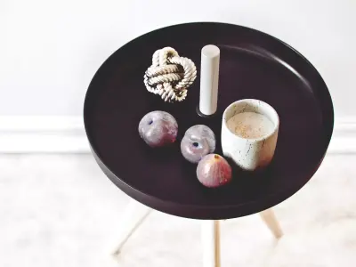 Flip Around 3D model