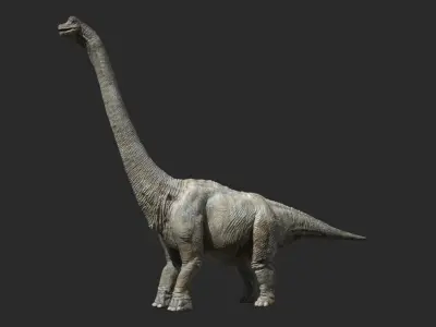  Brachiosaurus (Rigged) 