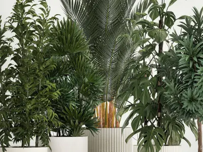 Plants For The Street And Interior In Concrete Pot 1210 3D model